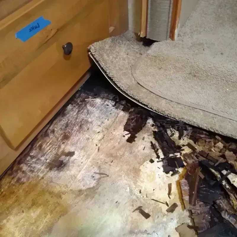 Best Wood Floor Water Damage Service in Olney, TX